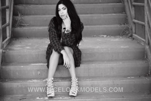 IMG_3017 copy